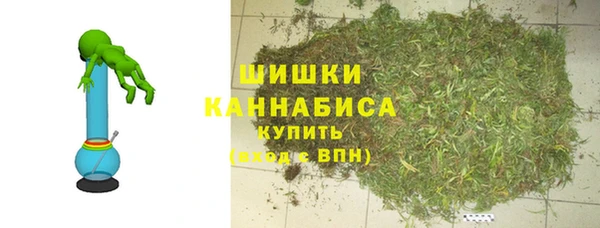индика Аркадак