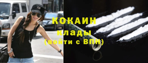 индика Аркадак