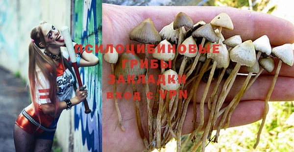 круглые Богданович