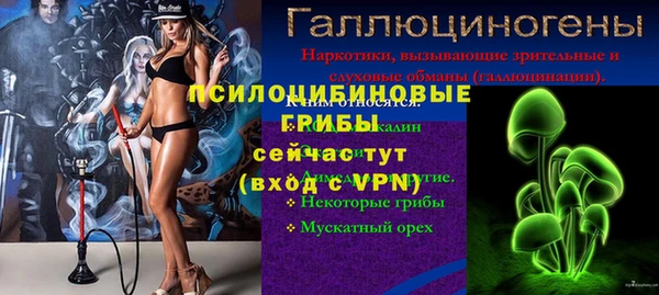 индика Аркадак