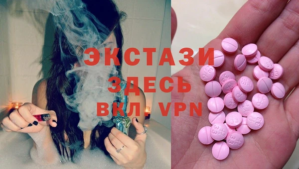 индика Аркадак