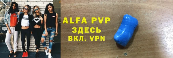 индика Аркадак